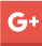 icono google color