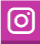 instagram icono color